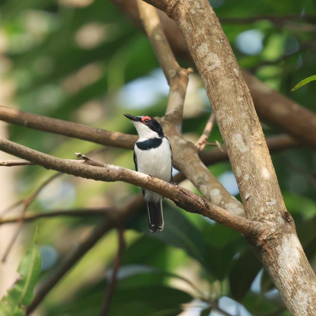 20250718093815_1V0A9761