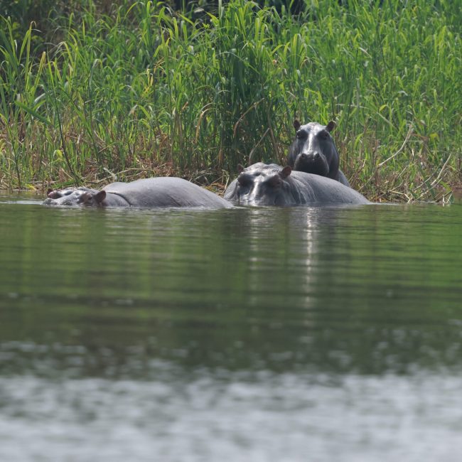 20250719140005_1V0A0037