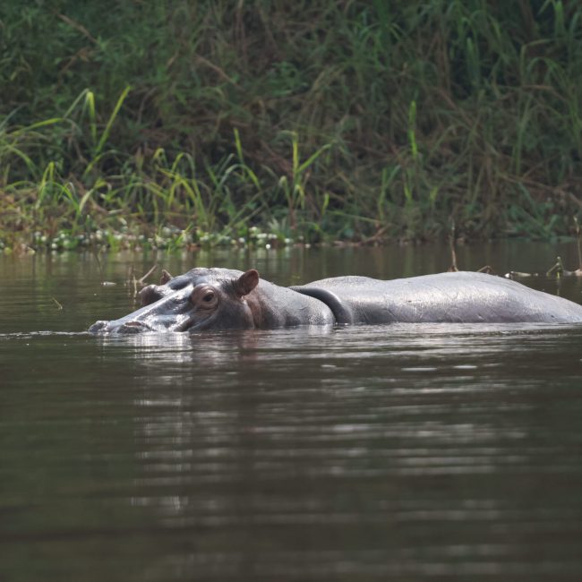 20250719140048_1V0A0046