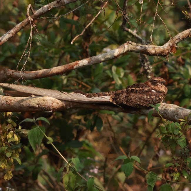 20250801151118_1V0A0799