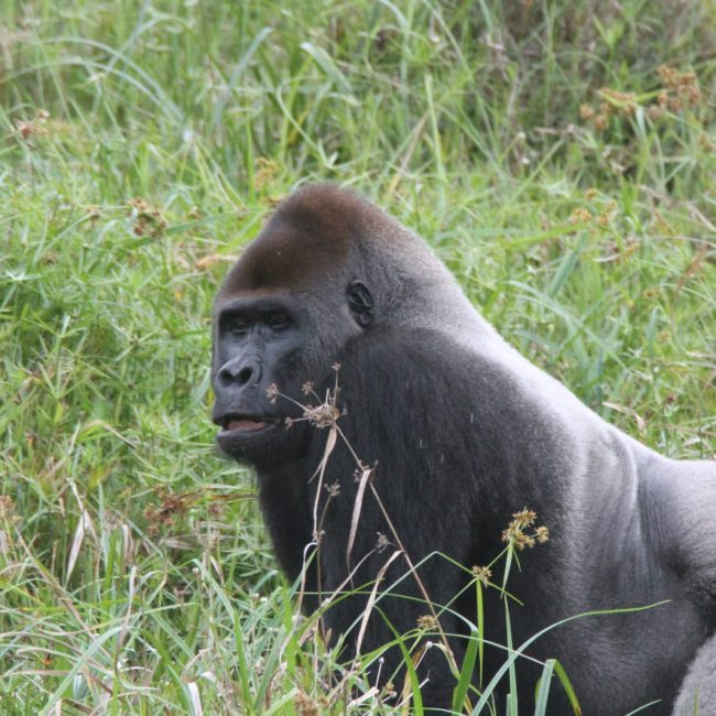 WhatsApp Image 2025-03-12 at 08.54.34